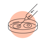 Fecundación in vitro