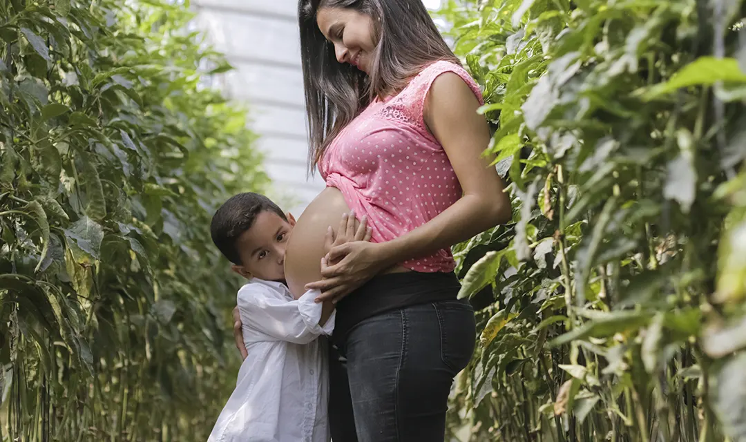 Todas las preguntas y respuestas sobre la inseminación artificial en Ecuador