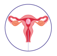 Fertilización in Vitro en Ecuador